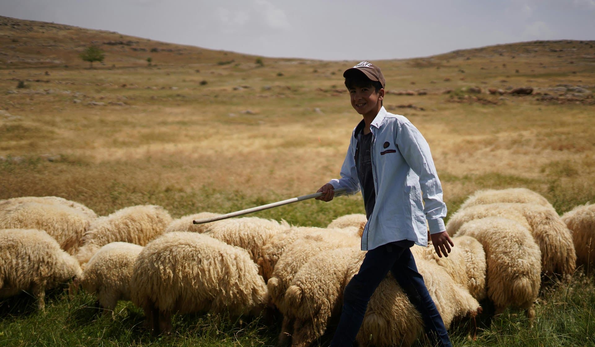 Doğal Takvim Nedir? İklime Göre Ekim ve Hayvancılık Planlaması Neden Kritik?